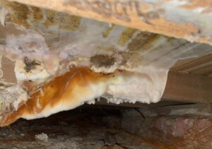 Dry rot fascia soffit roofline most frequently ask questions
